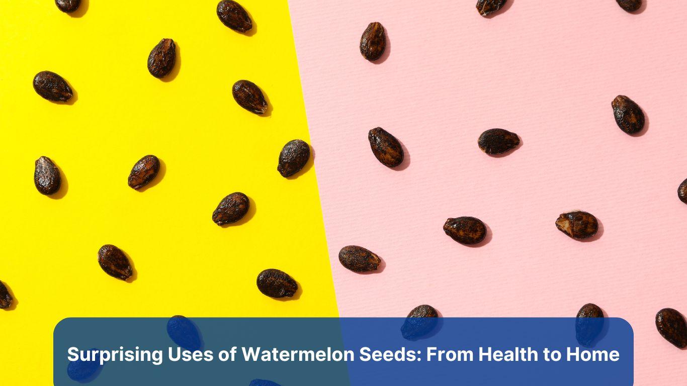 Surprising Uses of Watermelon Seeds: From Health to Home
